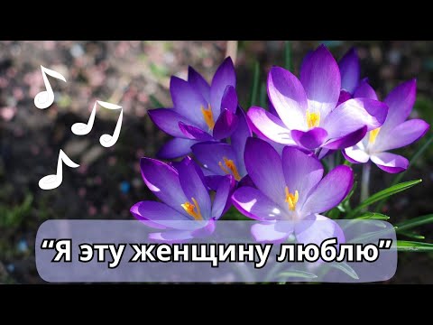 Видео: Душевная песня для любимой женщины, песня для тебя!
