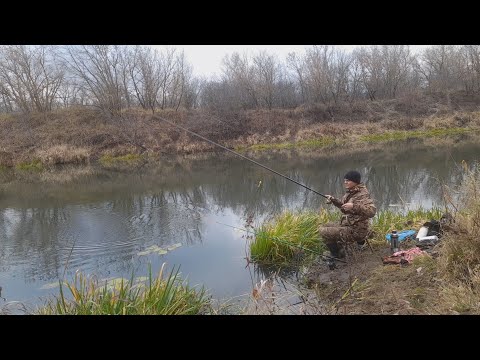 Видео: Рыбалка в Ноябре на ПОПЛАВОК.Плотва Елец на УДОЧКУ!