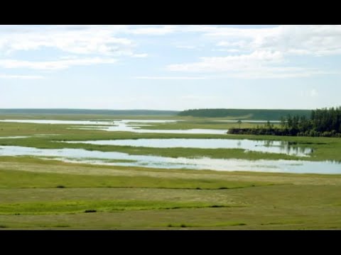 Видео: Моя родина-Усть-Алдан