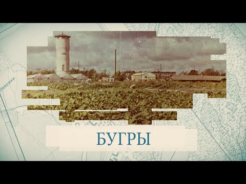 Видео: Бугры / «Малые родины большого Петербурга»