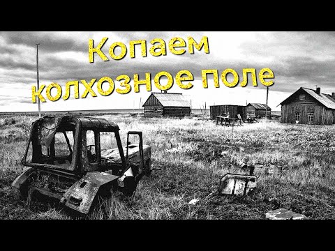 Видео: Копаем колхозное поле