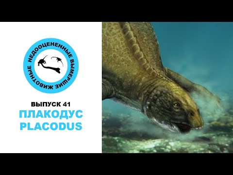 Видео: Недооцененные Вымершие Животные. Выпуск 41: Плакодус (Placodus)