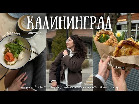 Видео: Влог ч2: Калининград, Зеленоградск и Светлогорск| красивейшая архитектура, вкусная еда и Балтийское🌊