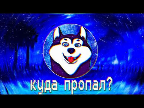 Видео: куда пропал дога дог