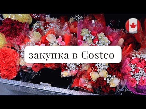 Видео: Калгари| находки в Costco/ цены $ закупка на 2 недели