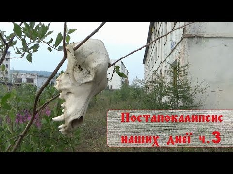 Видео: Кадыкчан. Двое в мёртвом городе