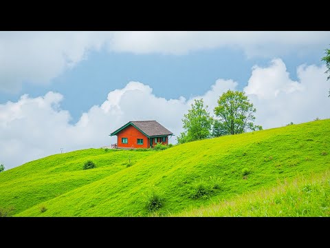 Видео: Успокаивающие звуки для души 🌿 Музыка для избавления от беспокойства и хорошего сна