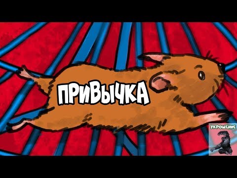 Видео: Как Работают Привычки (Структура Привычки)| Курс Укрощение - Урок 2