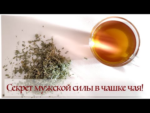Видео: Чай из якорцев: как заваривать, чтобы был эффект