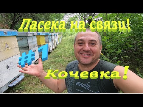 Видео: ✅Пасека на связи #1 Кочевка к медоносам, нашел новое место!