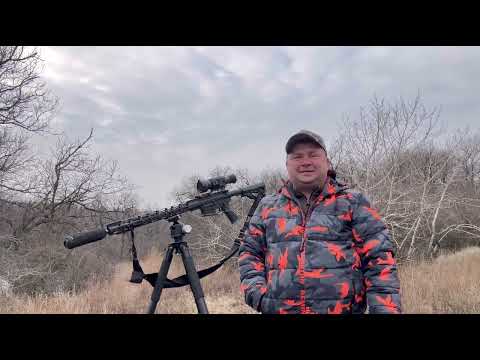 Видео: Охота на волка. Вышел на вабу. Выстрел в кадре!!!!