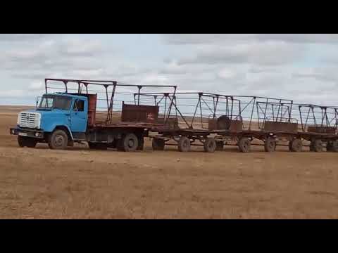 Видео: Дауысына мән беріңіздер