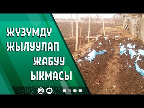 Видео: ЖҮЗҮМДҮ ЖЫЛУУЛАП ЖАБУУ ЫКМАЛАРЫ...