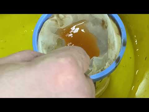 Видео: Выведение науплии артемии и как ее хранить