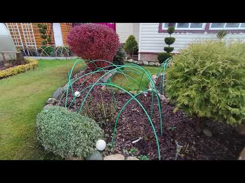 Видео: 27 октября 2025 г.