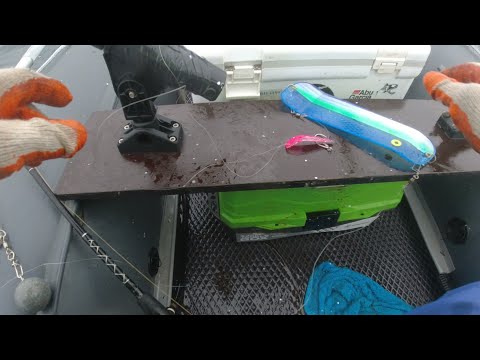 Видео: ТРОЛЛИНГ СИМЫ , НА ШАРЫ 07.05.2024. НАХОДКА 🐟🐟🐟🐟