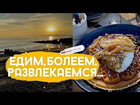 Видео: VLOG: о традиционности англичан, клубах по интересам и зачем насекомым строят отели.