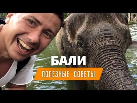 Видео: Отдых на Бали. Полезные советы