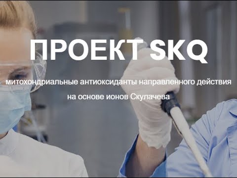 Видео: Стартапы. Компания "Митотех" - история успеха (интервью с Максимом Скулачевым)