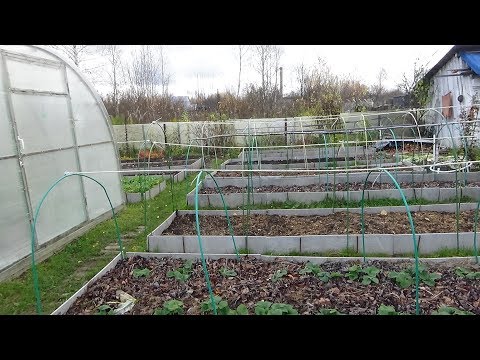 Видео: Высокий уровень грунтовых вод.Сад, огород. Что делать? 2017г