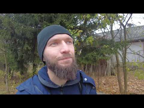 Видео: Человек разумный (надеюсь) об интеллекте (очевидно) искусственном. 