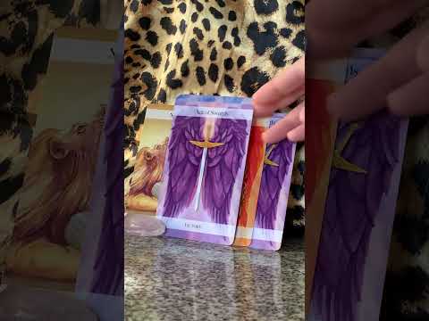 Видео: Люди злятся, потому что не могут влезть в ваши дела. Они не уверены в вас⚔️