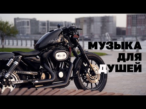 Видео: Сел, обалдел!HARLEY DAVIDSON SPORTSTER 1200 S.