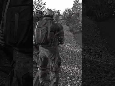 Видео: БРАТАНЧИК НОРМАЛЬНО? #dayz #stalkerrp #dayzrp #games