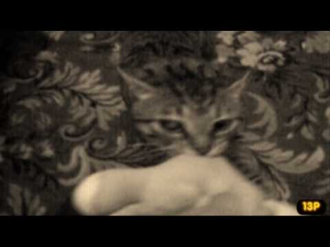 Видео: Отрицательное Влияние- Каменная Леди