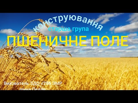 Видео: Заняття - Конструювання. Тема: Пшеничне поле. Старша група.