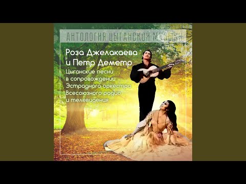 Видео: Звездочка (на цыганском)