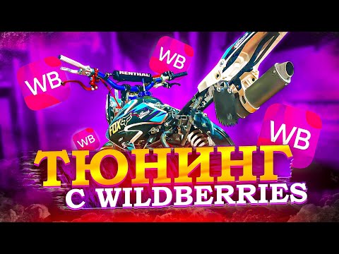 Видео: ПРОКАЧКА ПИТБАЙКА под СТАНТ с WILDBERRIES 😻 ЧАСТЬ 1