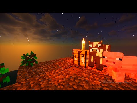 Видео:  Как выжить на одном блоке?! 😮 (Nectorin) #майнкрафт #minecraft #nektorin #1блок