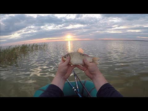 Видео: озеро УЕЛГИ! НОЧНАЯ рыбалка на КАРАСЯ! БОЛТУШКА-МАНКА РУЛИТ❗