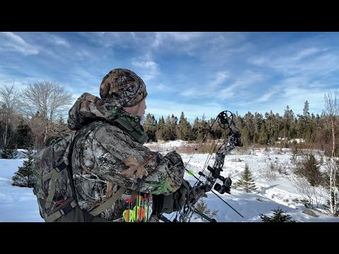 Видео: Мой вердикт - 3 или 4 пера ??? Какие перья более универсальные ?