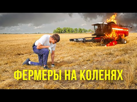 Видео: СПАСЛИ комбайн, но ПОТЕРЯЛИ весь пивоваренный ячмень  Результаты уборочной 2024