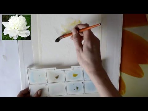 Видео: Мастер класс #7 Картина акварелью. Пион.