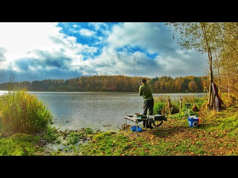 Видео: Ловля Классическим Фидером на 150 Метрах. Часть 1 "Закорм".