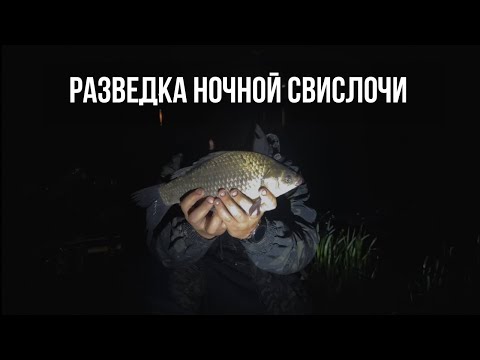 Видео: НОЧНАЯ РЫБАЛКА НА ФИДЕР! ЧТО КЛЮЕТ НА СВИСЛОЧИ?