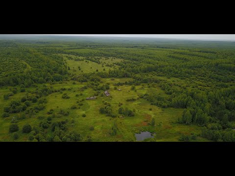 Видео: Один в ВЕТЛУЖСКОМ ЛЕСУ. НЕЖИЛАЯ деревня КРАСНЫЕ ПРУДЫ (Капрановское). Урочище Архангельское #2