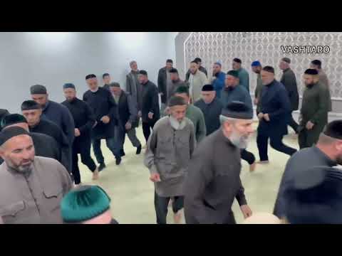 Видео: Юнусов Ахьмад х1усмехь. 13.09.2025. Борзой 