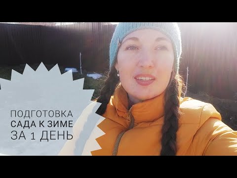 Видео: подготовка сада к зиме за 1 день. Мой способ укрытия молодых растений.