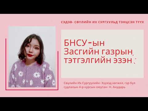 Видео: СӨҮЛ-ийн их сургуульд тэнцэж чадсан түүх