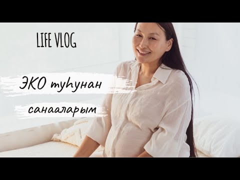 Видео: VLOG: ЭКО туһунан аһаҕастык | медцентрга сытабын