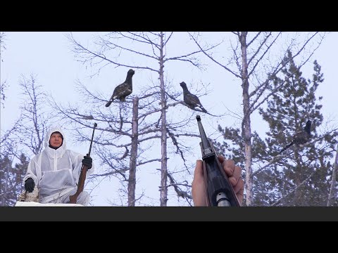 Видео: CAPERCAILLIE HUNTING IN SIBERIA. YAKUTIA. ОХОТА НА ГЛУХАРЯ В ЯКУТИИ