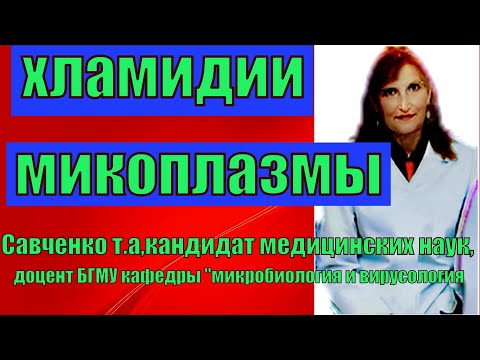 Видео: Хламидии и Микоплазмы - лекция по микробиологии