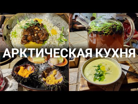 Видео: Арктическая кухня. Мурманск 2023!!!