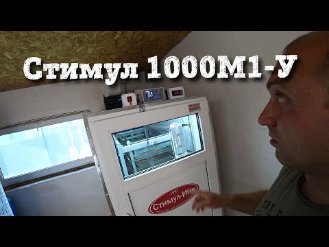 Видео: Инкубатор Стимул-1000 М1 У//Тест равномерности температуры//Настройки