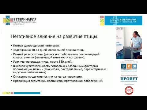 Видео: КРОХИН Н. Л. Влияние инактивированных бактериальных вакцин на развитие птиц