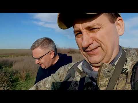 Видео: 2024.04.09 Первый день разведки в Калмыкии / Троицкое - Ики-Чонос / Тропасфера